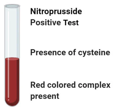 Nitroprusside Test: Qualitative Test for Identification of Proteins