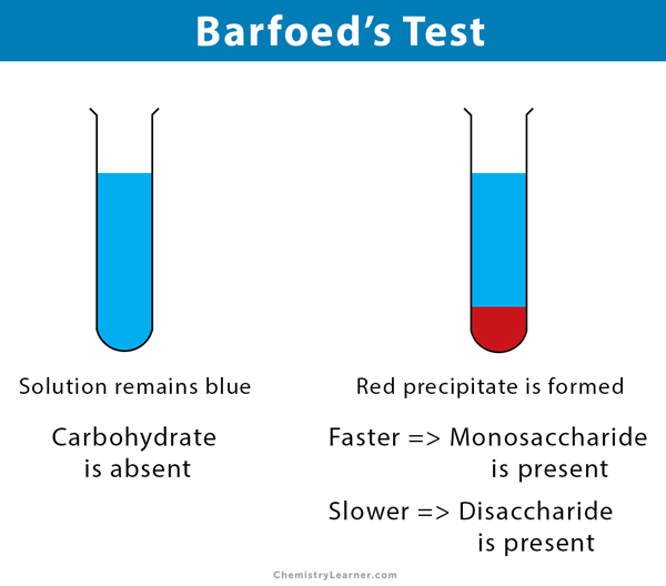 Barfoed’s Test: Qualitative Test For Identification Of Monosaccharides