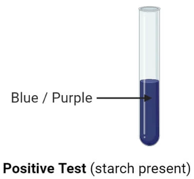 Iodine Test: Qualitative Test For Identification of Polysaccharides