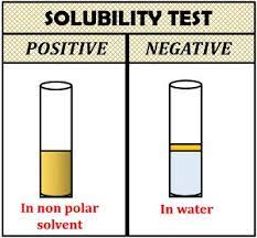 Lipids Solubility Test: A Journey Through Solubility Testing